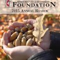 Annual Review – 2015
