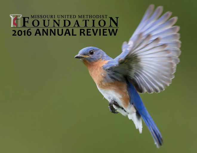 Annual Review – 2016