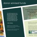 donor advised funds flyer