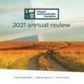Annual Review – 2021