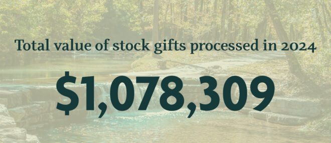 Stock Gifts 2024