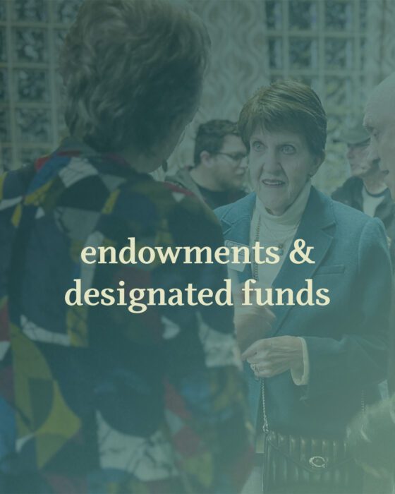 Endowments And Designated Funds 2024