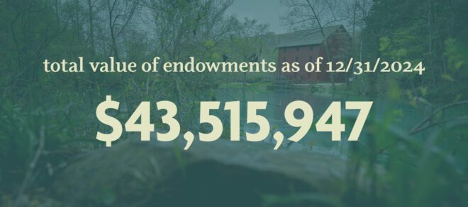 Total Endowments 2024