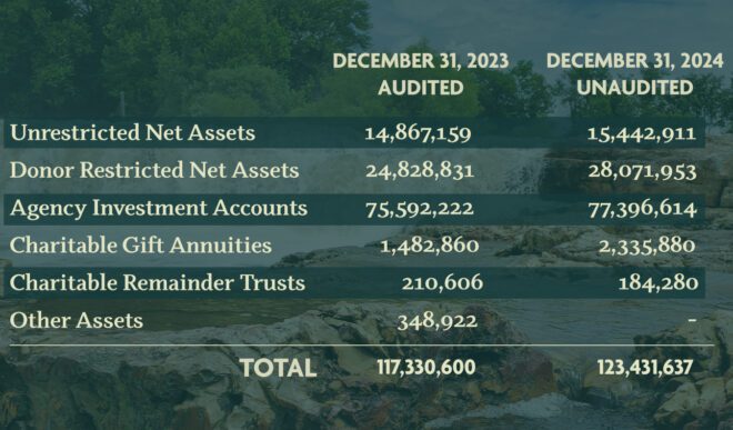 Assets Under Management 2024