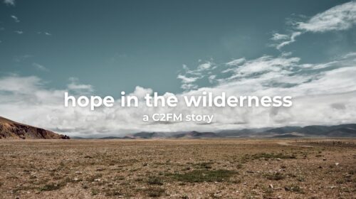 Hope in the Wilderness